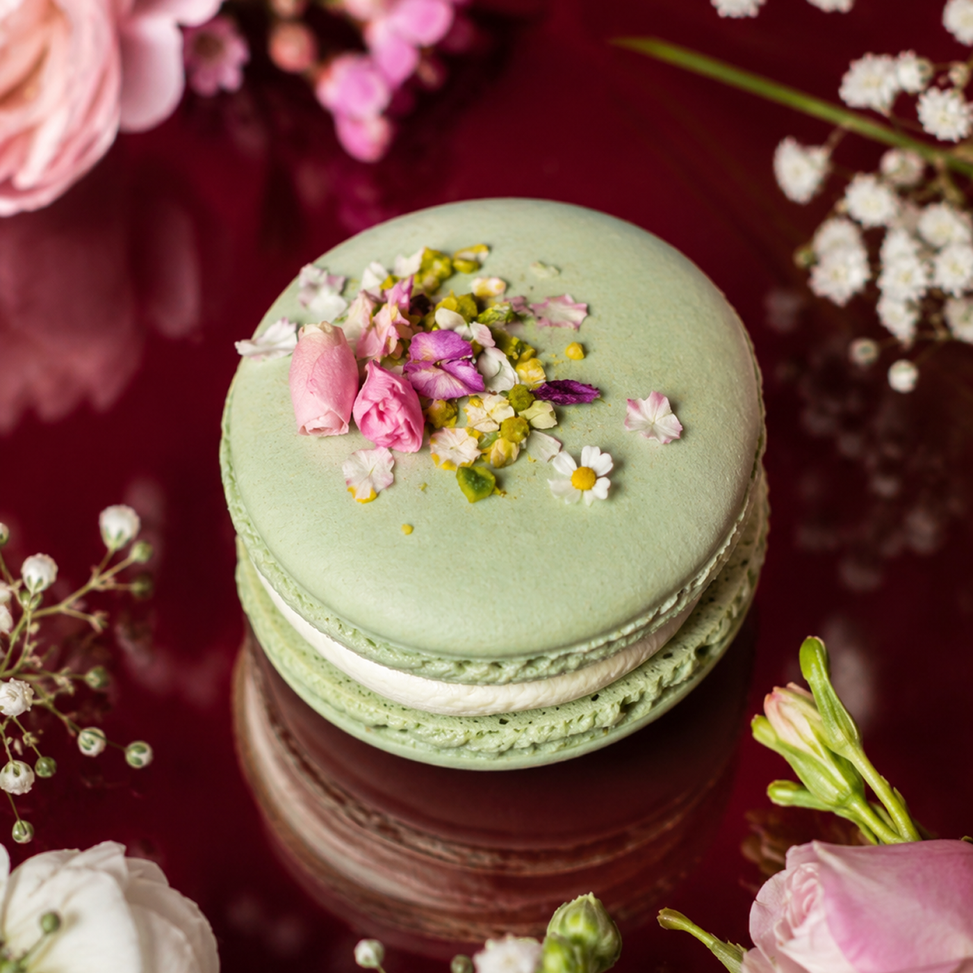 Macaron jardin pastel