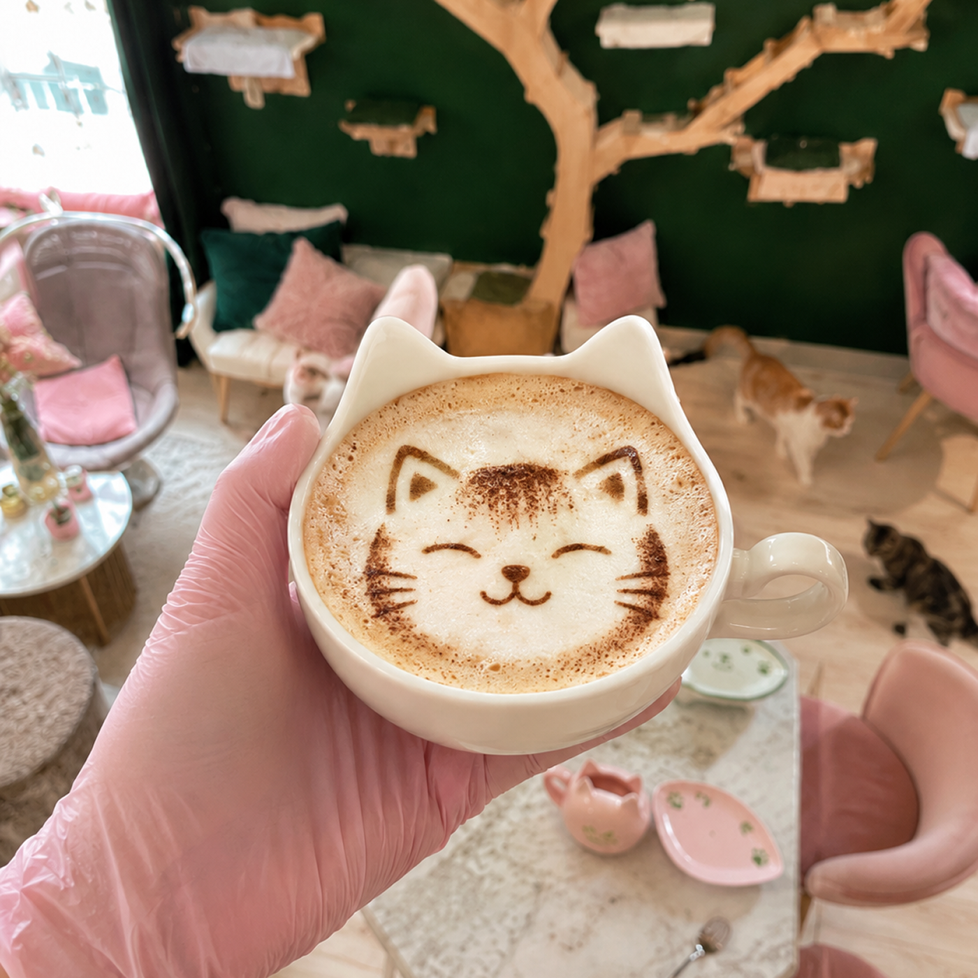 Cappuccino Chaminou
