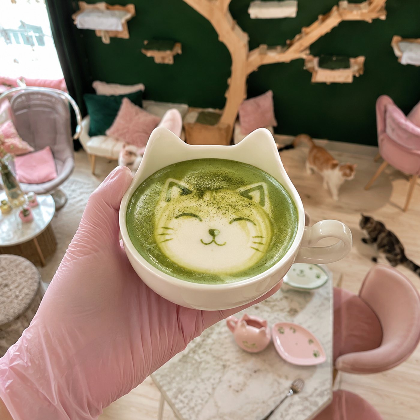 Matcha Moustachu