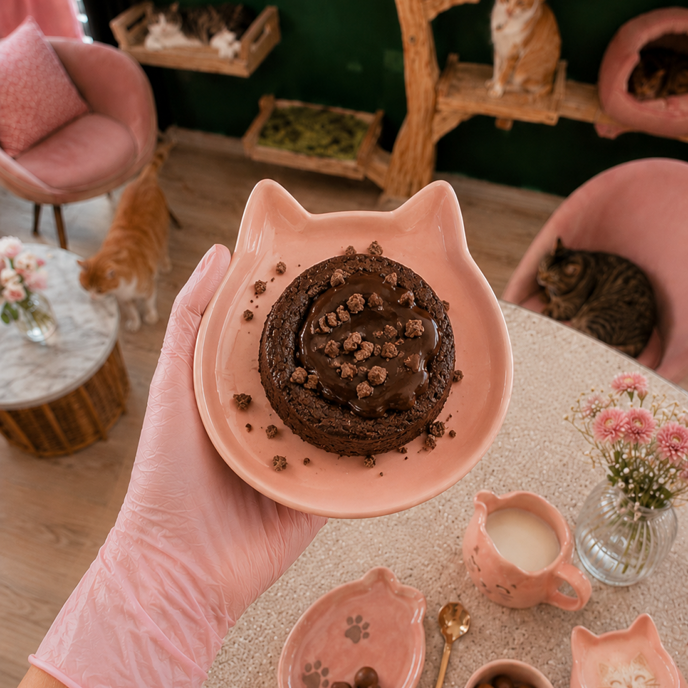 Mini Brownie Félix