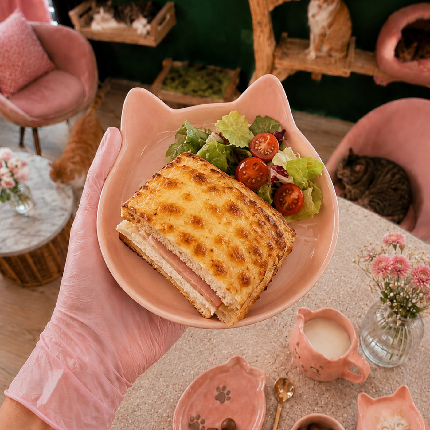 Croque-Matou